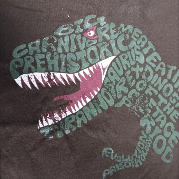 NWT Gymboree Kids Dinosaur Long Sleeve Brown T-Shirt White Sleeve Cotton Size 4 - Picture 1 of 5